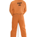 costume detenuto americano usa carcerato carnevale halloween - Mazzucchellis