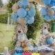 centrotavola-battesimo-con-orso